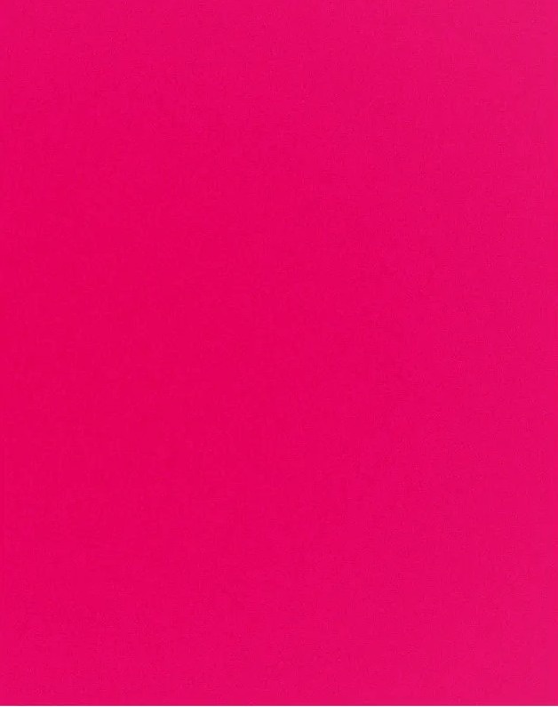 Rosa Pink Liso 1/4 Painel Retangjular 220X150Cm - FOCUSEVENTOSJATAI
