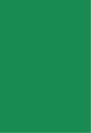 Ben 10 3D Painel Retangular 220X150Cm Fundo Verde Bandeira 4 - imagem 2