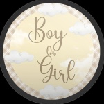 Chá Revelação Boy Ou Girl Marron Claro Painel Redondo 150Cm - imagem 1