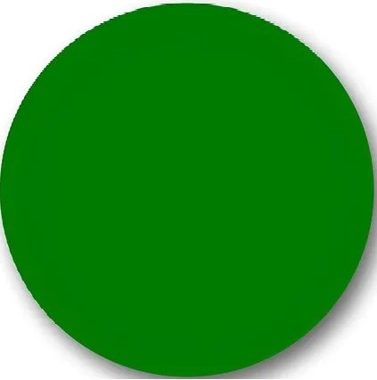 Verde Bandeira Liso 01 Painel Redondo 150Cm - FOCUSEVENTOSJATAI