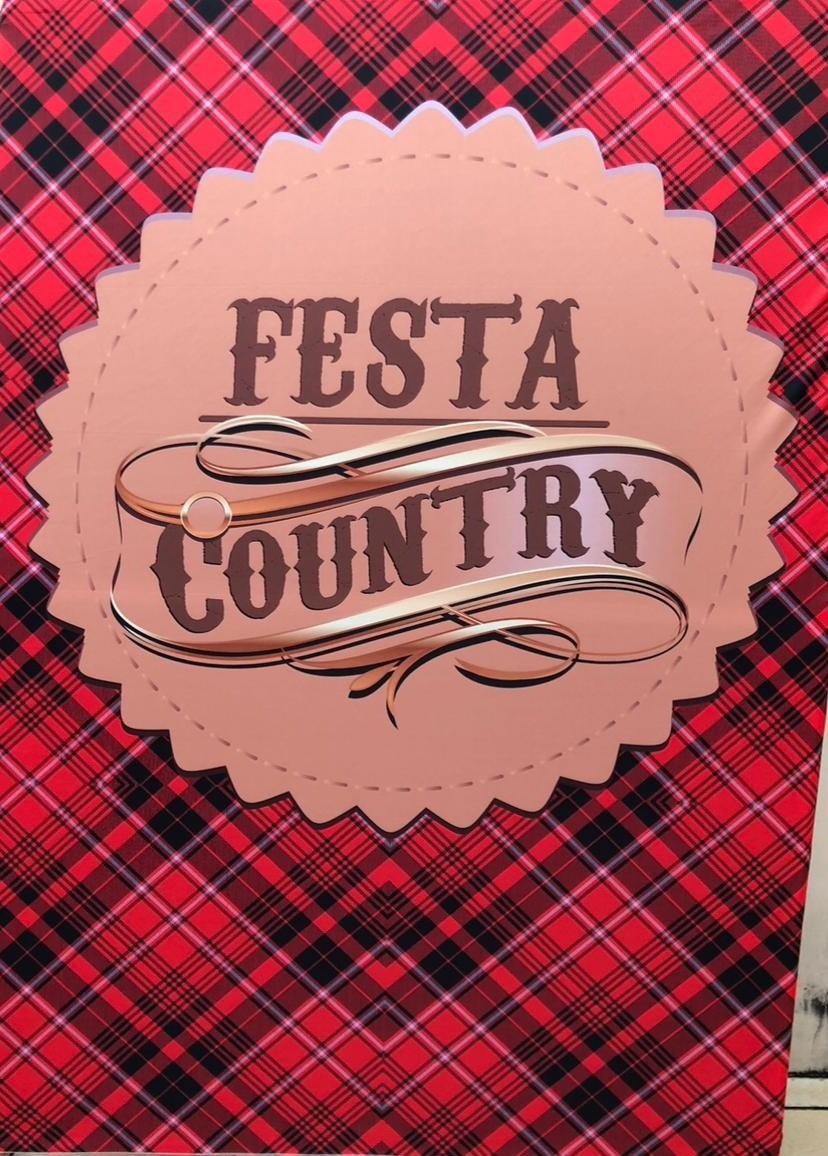 Country Festa Xadrez Vermelho Painel Retangular 220X150Cm - FOCUSEVENTOSJATAI
