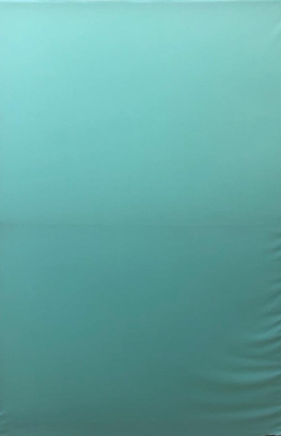 Verde Piscina Liso Painel Retangular 220X150Cms Fundo Verde Bebê Liso - FOCUSEVENTOSJATAI
