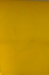 Amarelo Fogo Fundo Margaridas Branca 4 Flores - Painel Retangular 220X150Cms - imagem 1