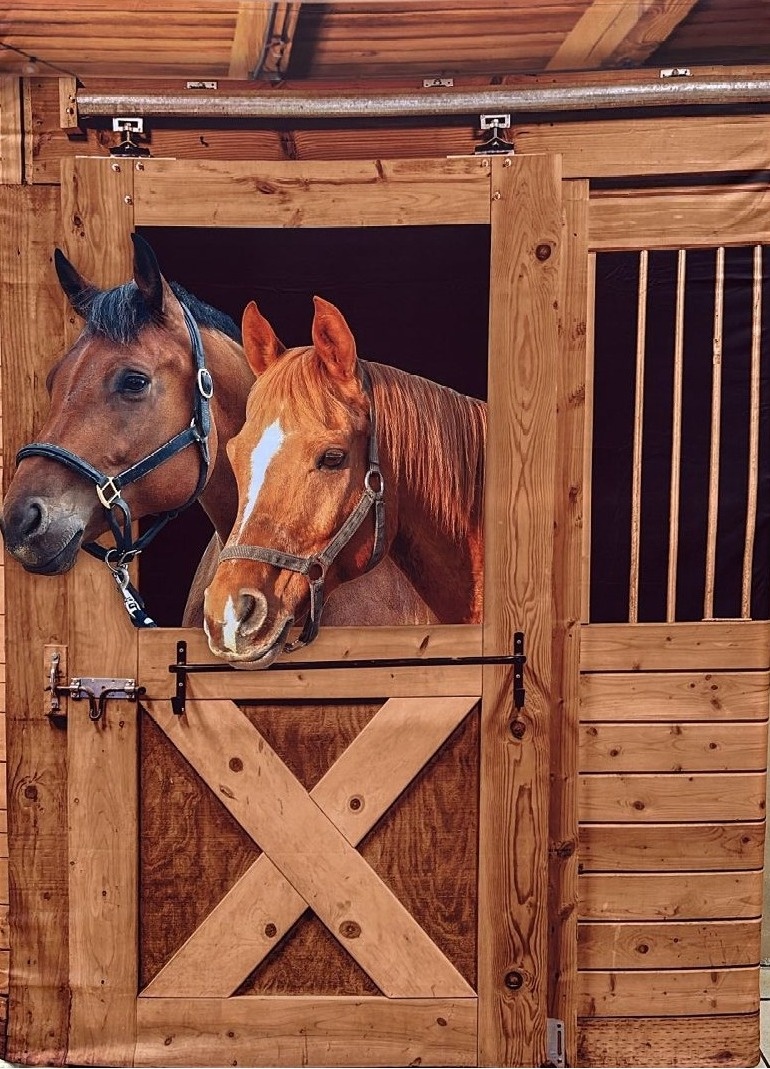 Country Haras 02 Cavalo A Esquerda Painel Retangular 220X150Cm - FOCUSEVENTOSJATAI