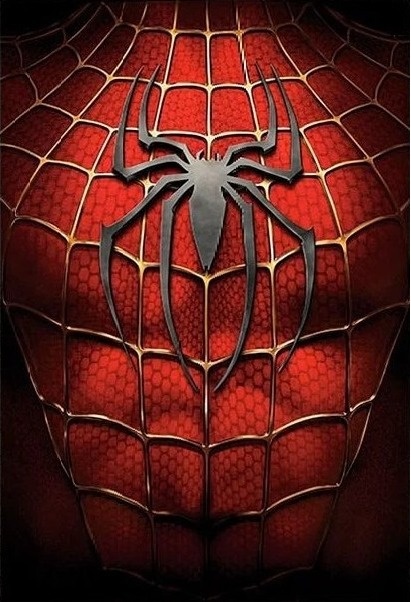 Homem Aranha Peitoral Painel Retangular 220X150Cm Fundo Preto - FOCUSEVENTOSJATAI