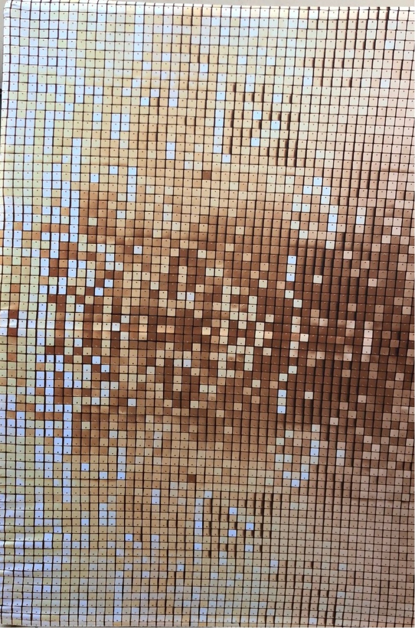 Dourado Claro Lantejoulas Painel Retangular 220X150Cms - FOCUSEVENTOSJATAI