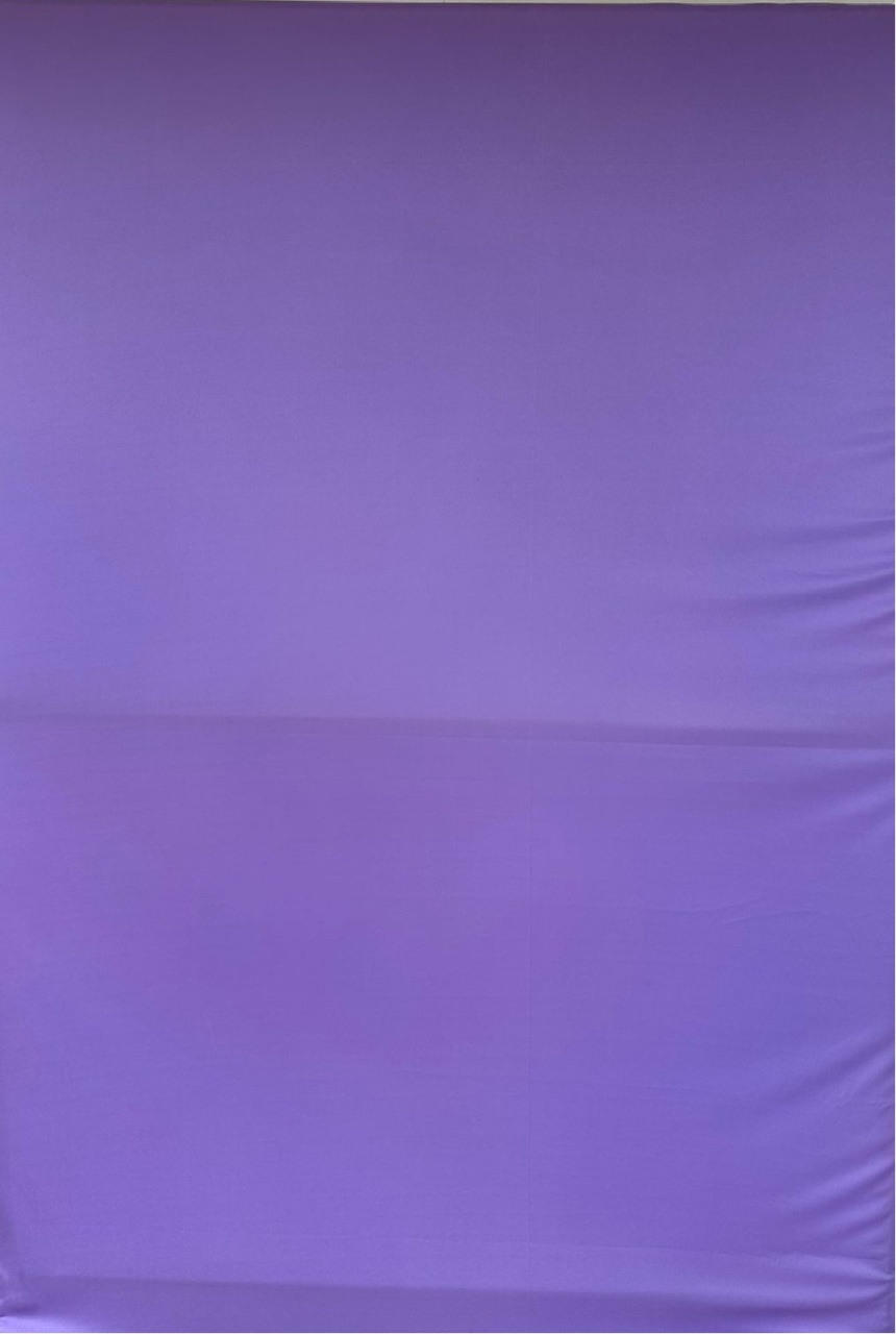 Lilas Liso Fundo Do Mar Menina Painel Retangular 220X150Cm - FOCUSEVENTOSJATAI