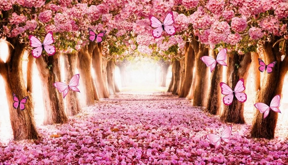 Ipê Rosa Borboletas Painel Retangular 500X300Cm - FOCUSEVENTOSJATAI