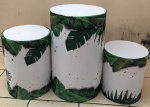 Folhagem Costela de Adao Branco E Verde Cilindro Redondo Pmg - imagem 1