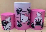 Hello Kit Marombeira Cilindro Redondo Pmg - imagem 1