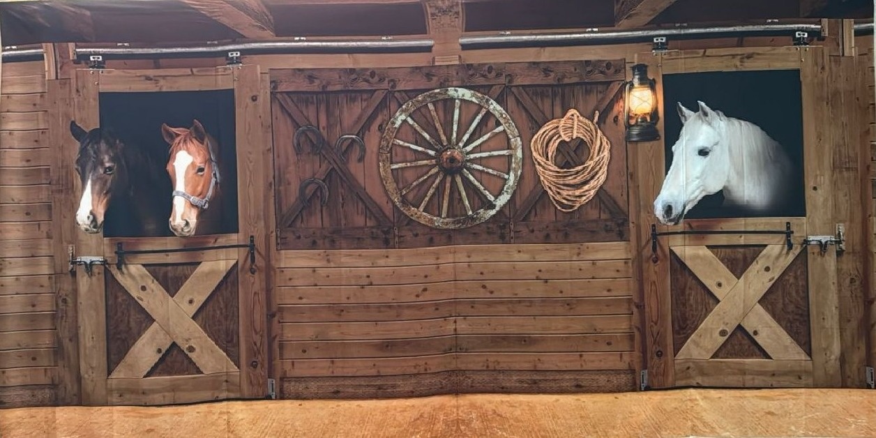 Country 04 Haras Cavalos Painel Retangular 600X300Cm - FOCUSEVENTOSJATAI