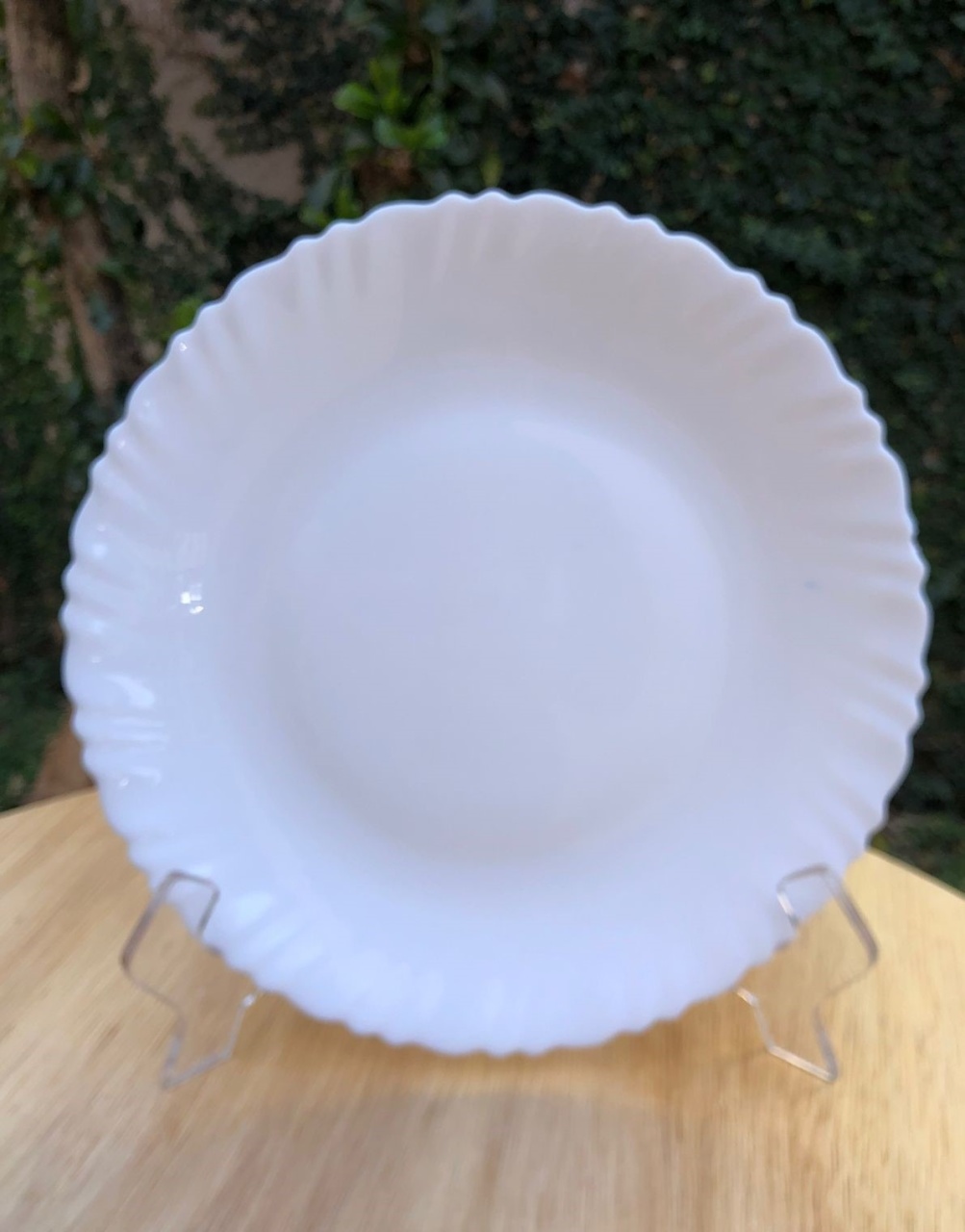 Prato Raso Vitrificado Branco Feston 27Cm - FOCUSEVENTOSJATAI