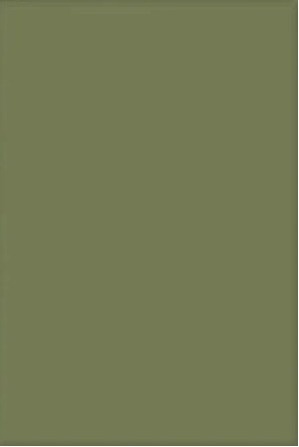 Verde Oliva Painel Retangular 220X150Cm Fundo Verde Floresta - FOCUSEVENTOSJATAI