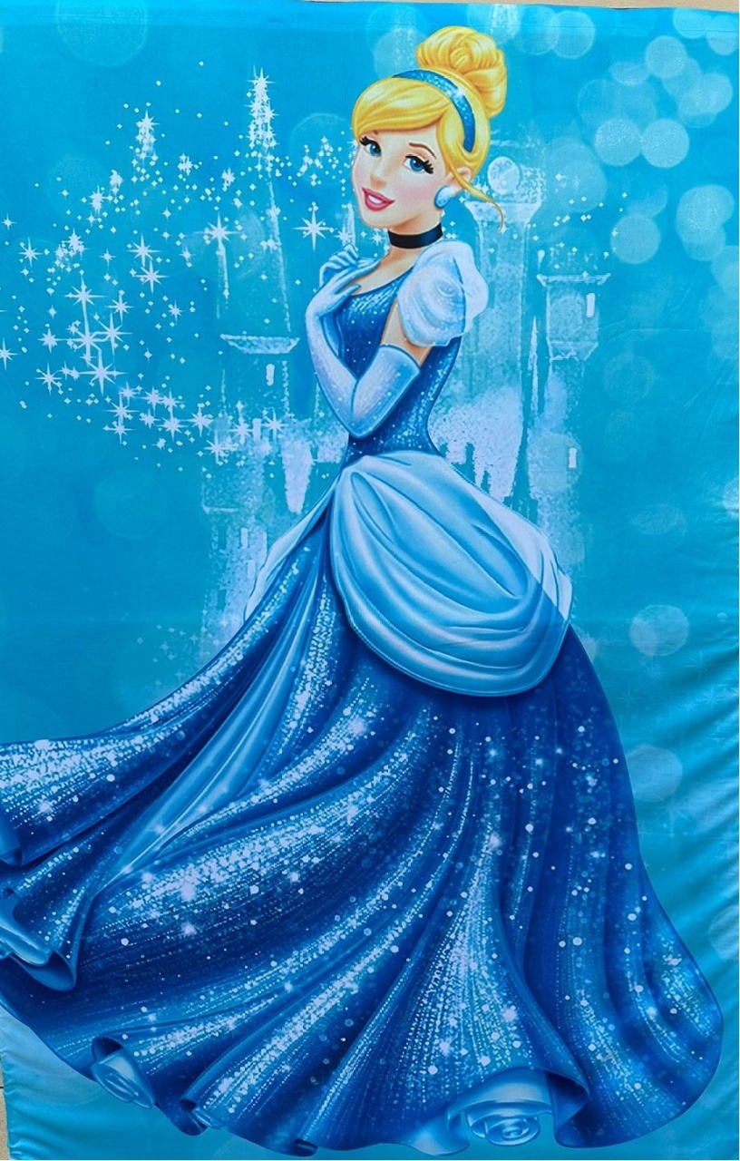 Cinderela Vestido de Festa Panel Retangular 220X150Cm - FOCUSEVENTOSJATAI