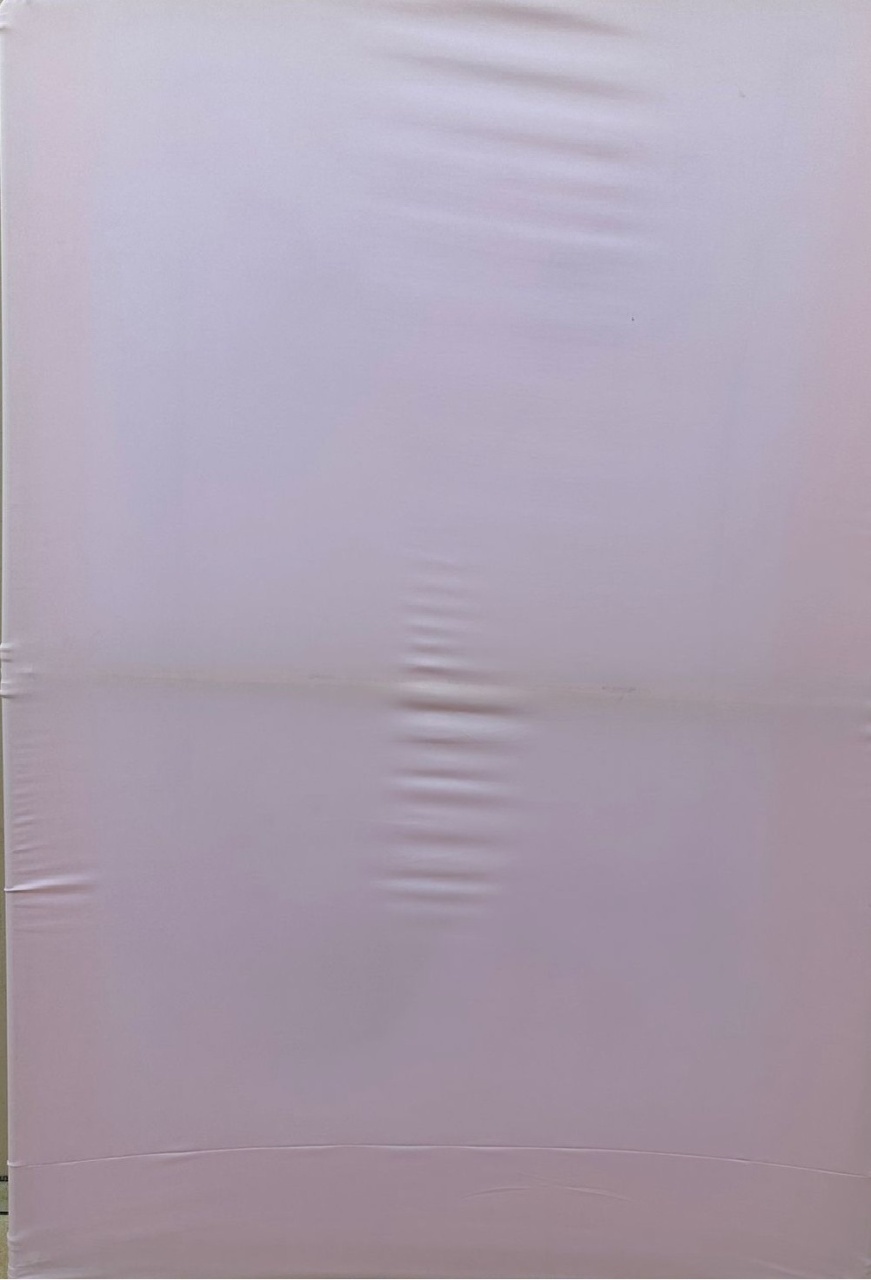 Rosa Claro Liso Fundo Cha Bebe Oh Baby Rosa  Painel Retangular 220X150Cms - FOCUSEVENTOSJATAI