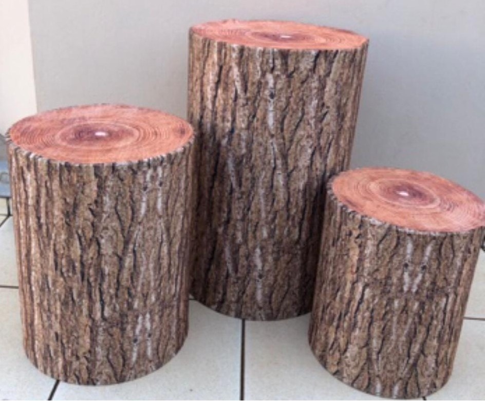 Tronco de Pinus Casca Fina Cilindro Redondo Pmg - FOCUSEVENTOSJATAI
