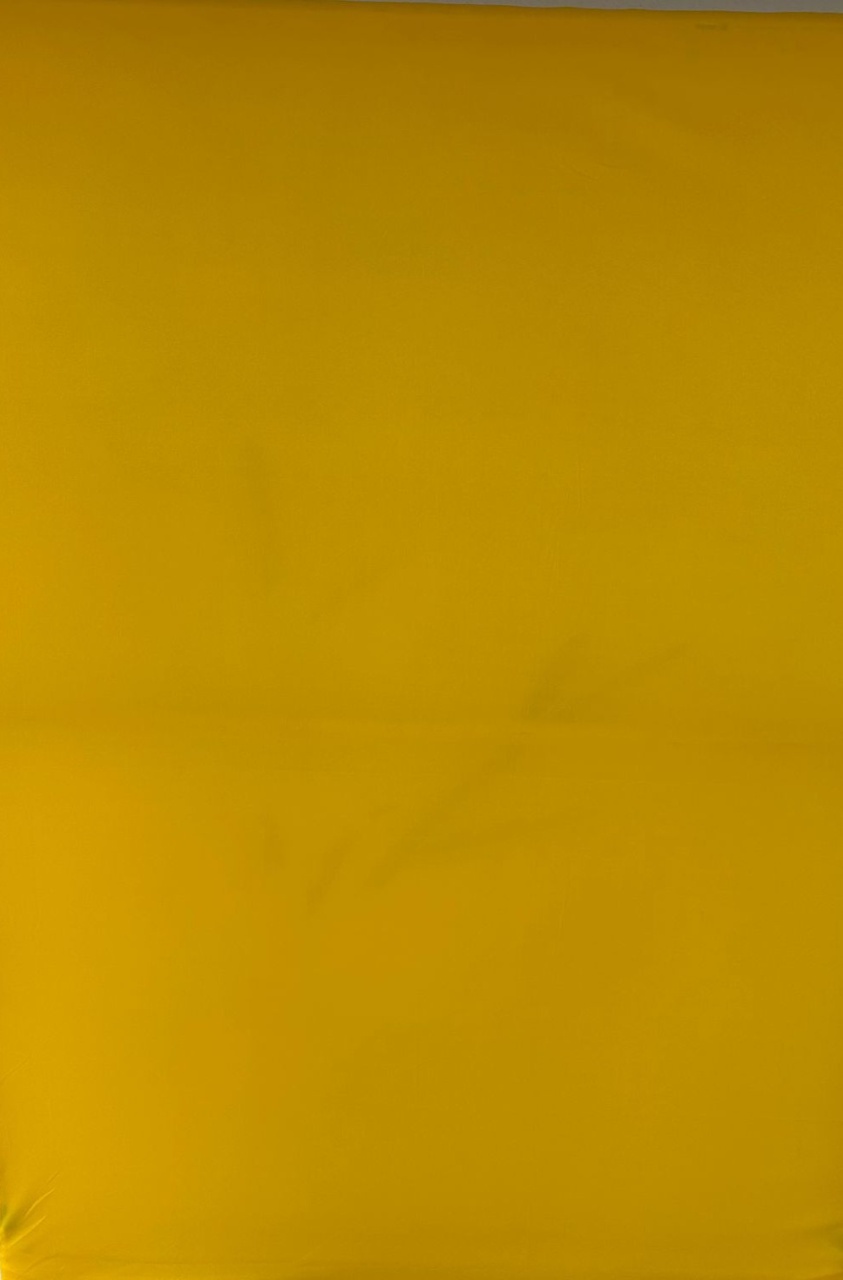 Amarelo Fogo Fundo Margaridas Branca 4 Flores - Painel Retangular 220X150Cms - FOCUSEVENTOSJATAI
