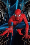 Homem Aranha Teias Painel Retangular 220X150Cms Fundo Preto - imagem 1