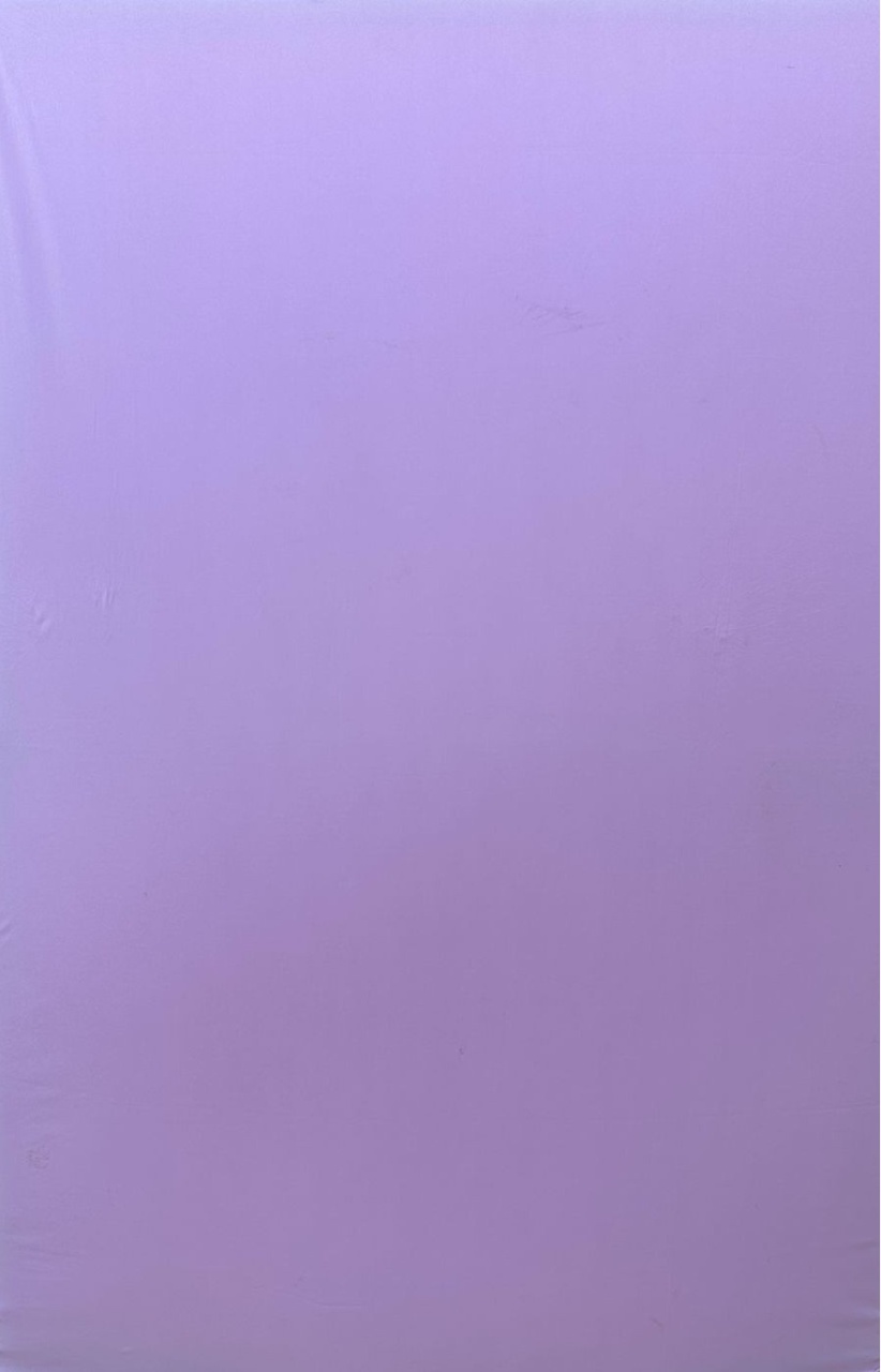 Lilá Bebê Painel Retangular 220X150Mts - FOCUSEVENTOSJATAI