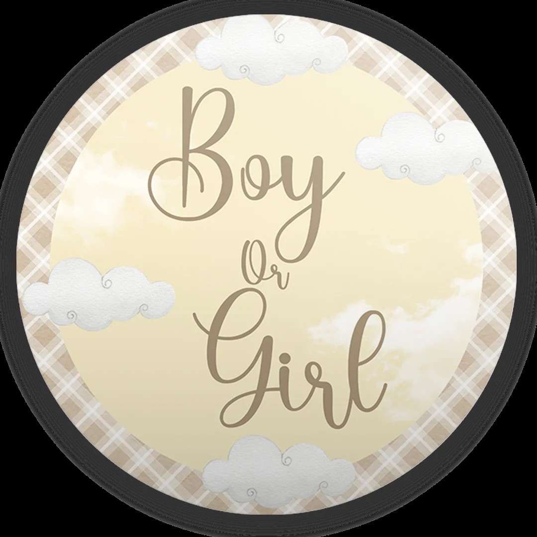Chá Revelação Boy Ou Girl Marron Claro Painel Redondo 150Cm - FOCUSEVENTOSJATAI