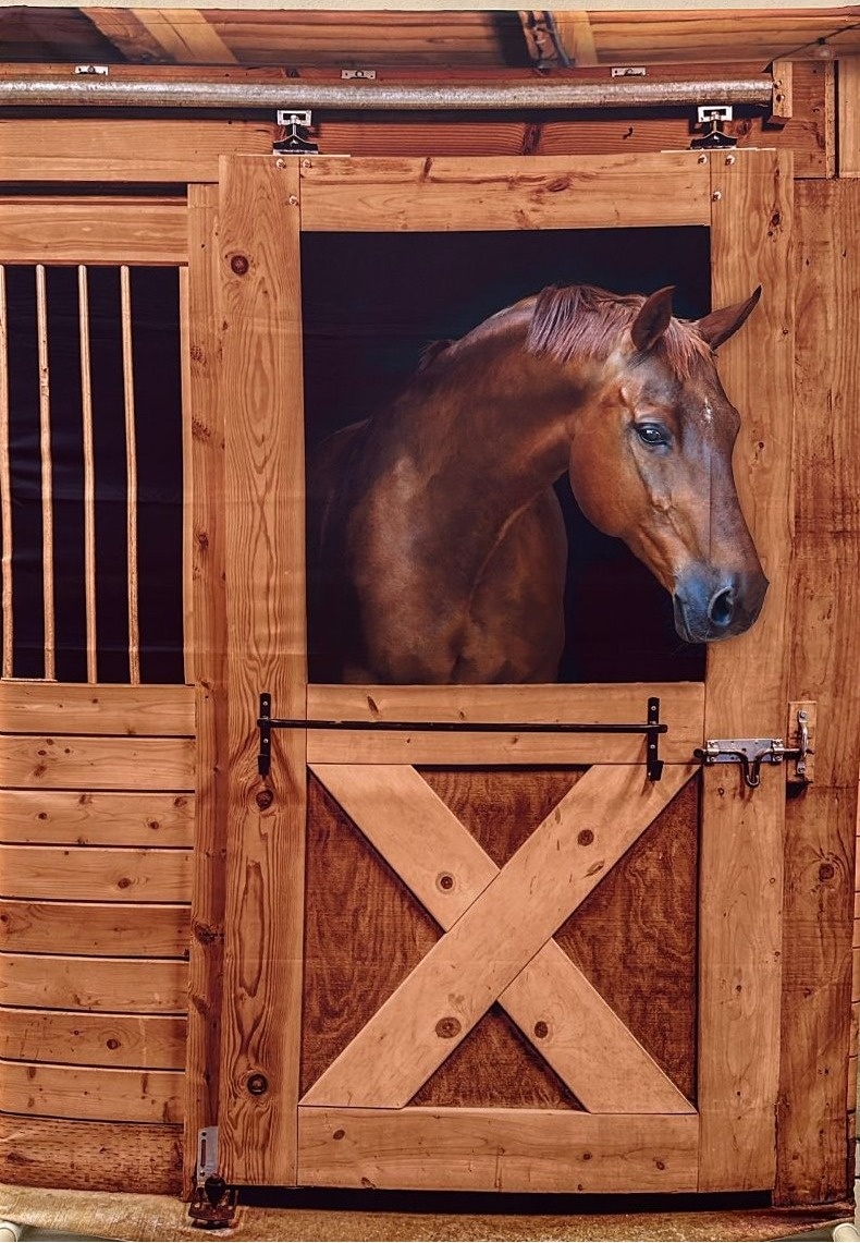 Country Haras 01 Cavalo A Direta Painel Retangular 220X150Cm - FOCUSEVENTOSJATAI