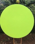 Neon Amarelo Painel Redondo 150Cm - imagem 1