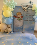 Pequeno Principe - imagem 4