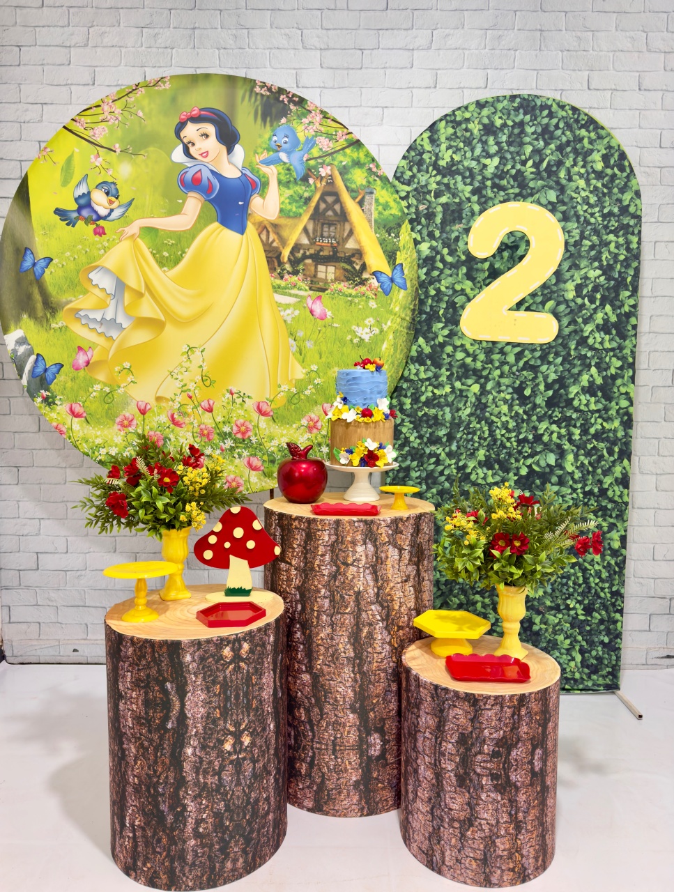 Branca de Neve 2 - Top Demais Decorações e Locações 