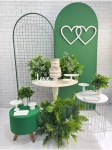 Verde E Branco 3 - imagem 1