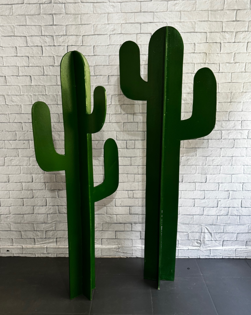 Cactos - Top Demais Decorações e Locações 