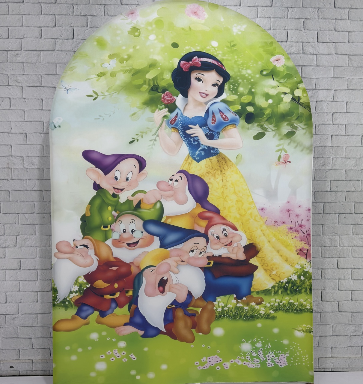 Painel Retangular Branca de Neve - Top Demais Decorações e Locações 