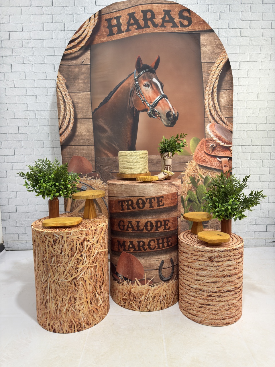 Cavalo 2 - Top Demais Decorações e Locações 