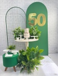 Verde E Branco 3 - imagem 2