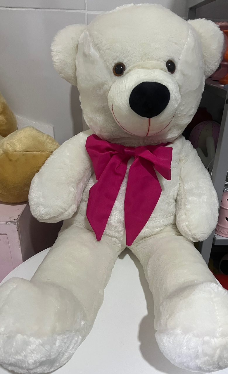 Urso Branco Medio - Rosevane da Conceição Macedo dos Santos